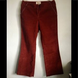 VS London Jean Cords